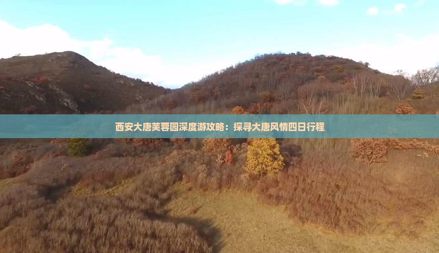 西安大唐芙蓉园深度游攻略：探寻大唐风情四日行程