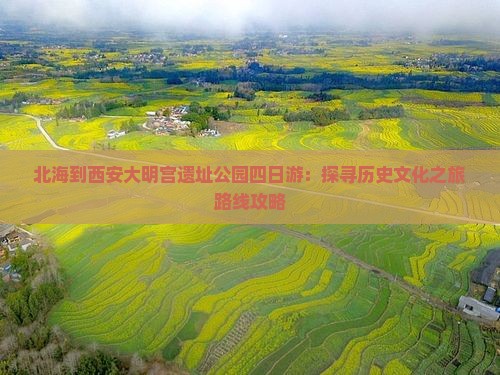 北海到西安大明宫遗址公园四日游：探寻历史文化之旅路线攻略