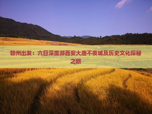 赣州出发：六日深度游西安大唐不夜城及历史文化探秘之旅