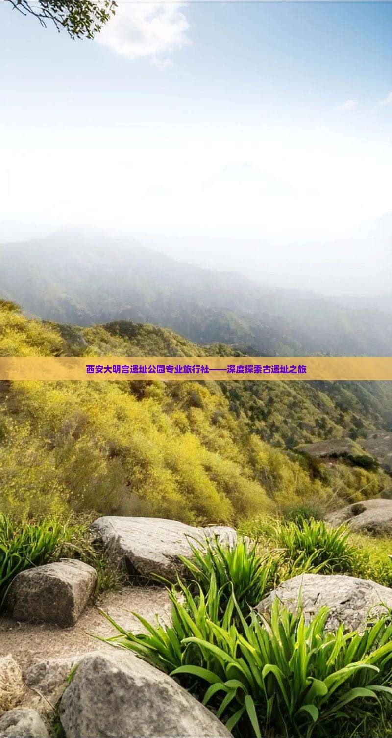 西安大明宫遗址公园专业旅行社——深度探索古遗址之旅