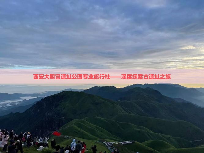 西安大明宫遗址公园专业旅行社——深度探索古遗址之旅