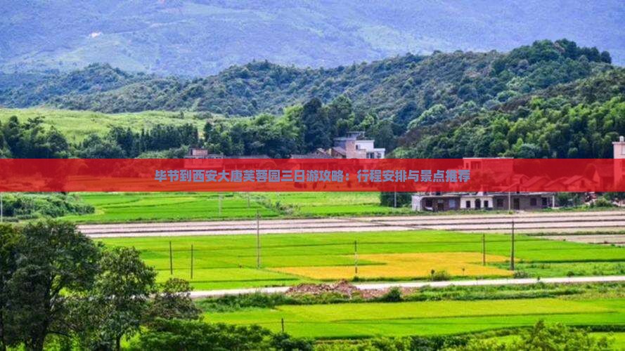 毕节到西安大唐芙蓉园三日游攻略：行程安排与景点推荐