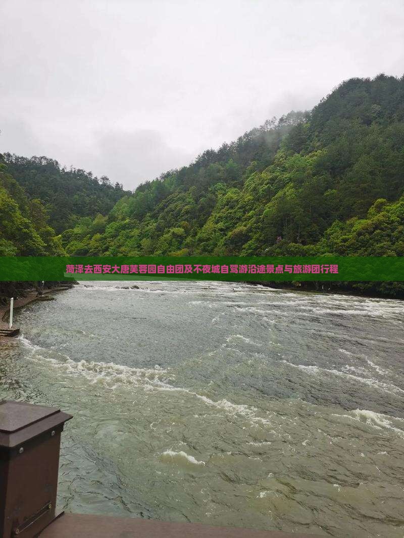 菏泽去西安大唐芙蓉园自由团及不夜城自驾游沿途景点与旅游团行程
