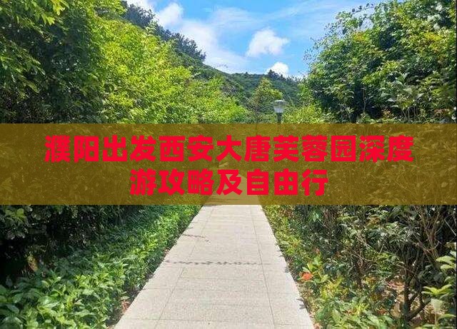 濮阳出发西安大唐芙蓉园深度游攻略及自由行