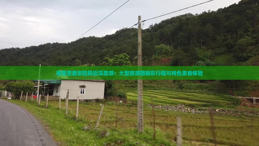 湘西至西安回民街深度游：大型旅游团精彩行程与特色美食体验