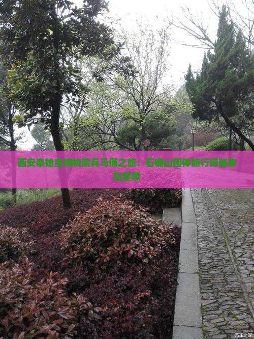 西安秦始皇博物院兵马俑之旅：石嘴山团体旅行探秘秦始皇陵