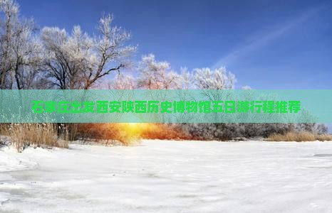 石家庄出发西安陕西历史博物馆五日游行程推荐