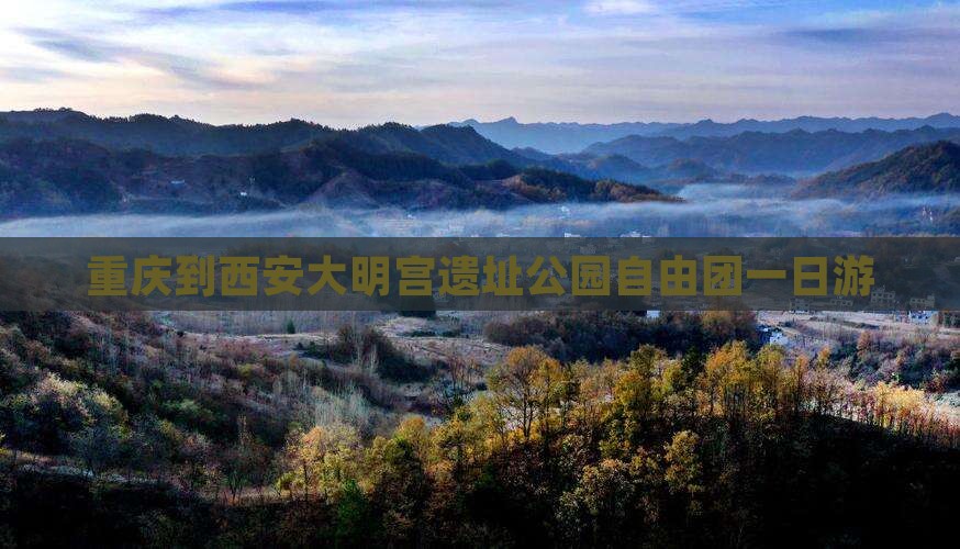 重庆到西安大明宫遗址公园自由团一日游