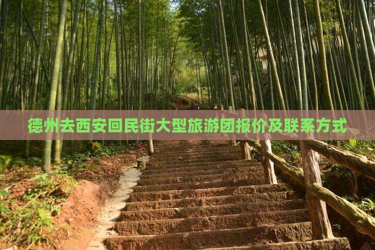 德州去西安回民街大型旅游团报价及联系方式