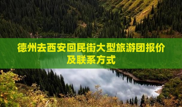 德州去西安回民街大型旅游团报价及联系方式