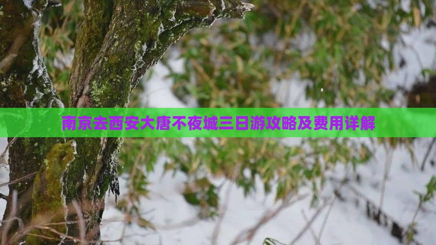 南京去西安大唐不夜城三日游攻略及费用详解