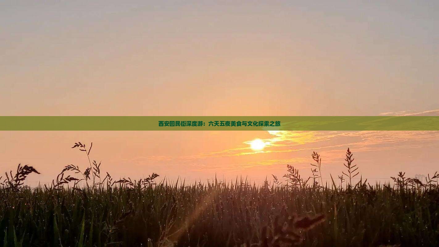 西安回民街深度游：六天五夜美食与文化探索之旅