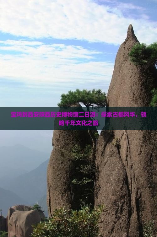 宝鸡到西安陕西历史博物馆二日游：探索古都风华，领略千年文化之旅
