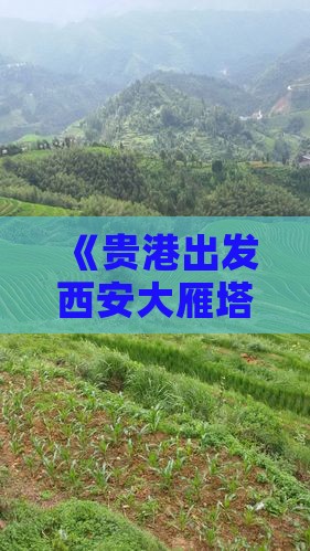 《贵港出发西安大雁塔一日游攻略》