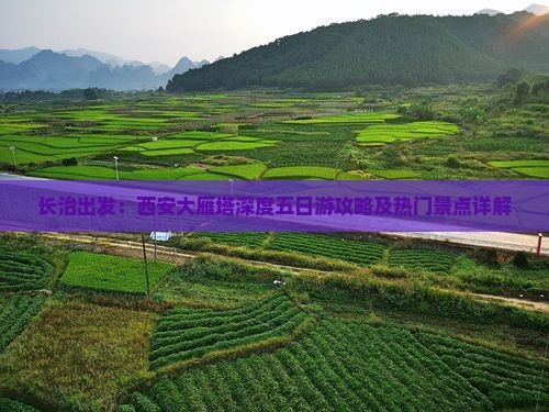 长治出发：西安大雁塔深度五日游攻略及热门景点详解