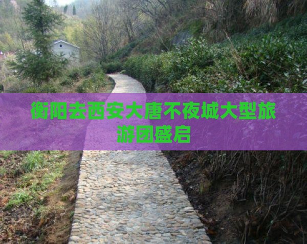 衡阳去西安大唐不夜城大型旅游团盛启