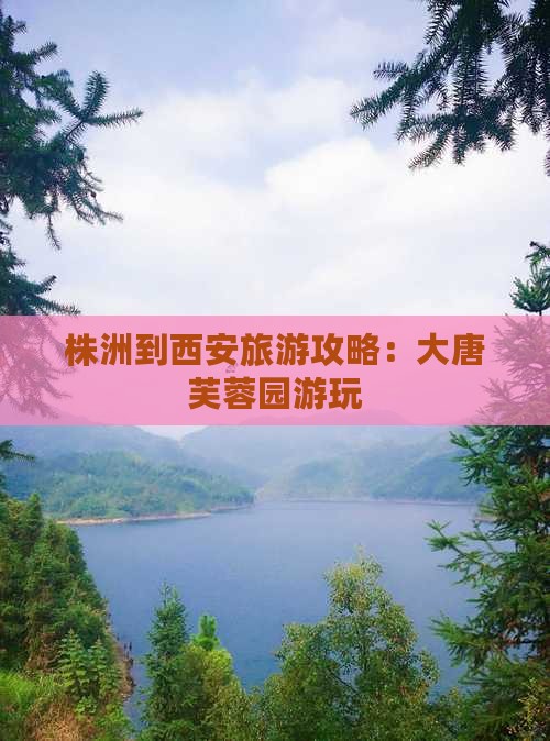 株洲到西安旅游攻略：大唐芙蓉园游玩