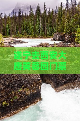 遂宁去西安大唐芙蓉园门票优惠及预订攻略