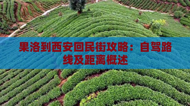 果洛到西安回民街攻略：自驾路线及距离概述
