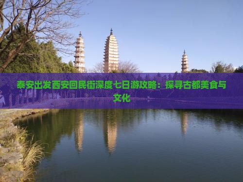 泰安出发西安回民街深度七日游攻略：探寻古都美食与文化