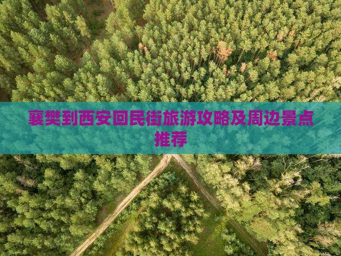 襄樊到西安回民街旅游攻略及周边景点推荐