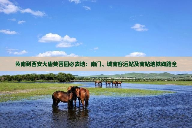 黄南到西安大唐芙蓉园必去地：南门、城南客运站及南站地铁线路全