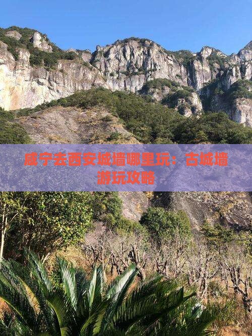 咸宁去西安城墙哪里玩：古城墙游玩攻略