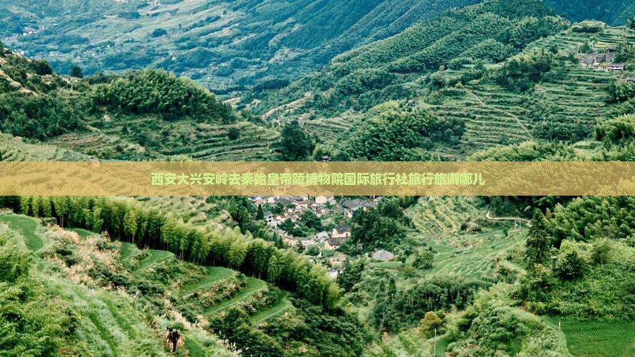 西安大兴安岭去秦始皇帝陵博物院国际旅行社旅行旅游哪儿