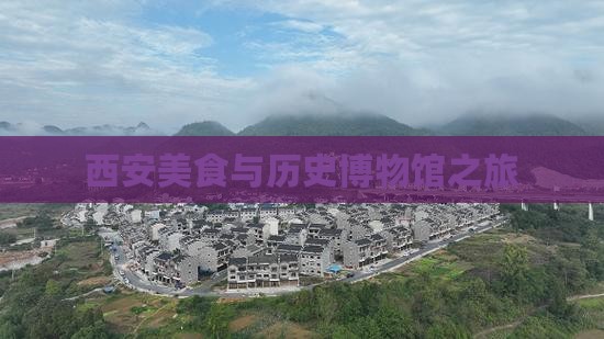 西安美食与历史博物馆之旅