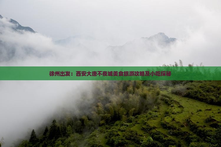 徐州出发：西安大唐不夜城美食旅游攻略及小吃探秘