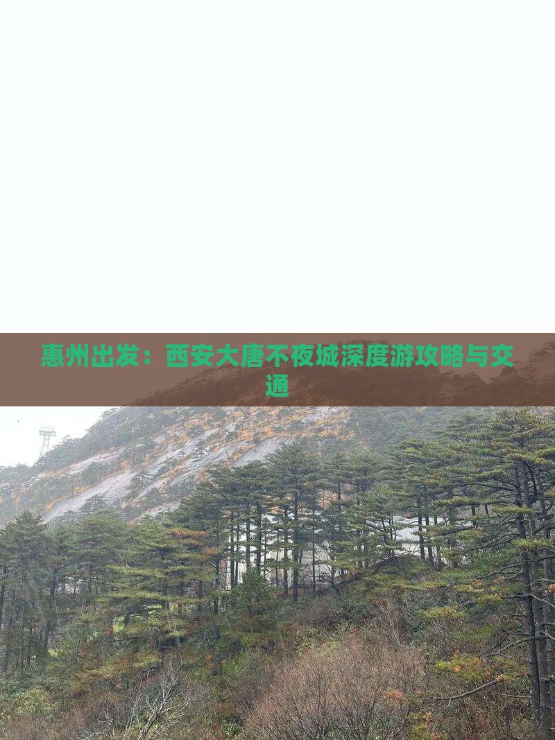 惠州出发：西安大唐不夜城深度游攻略与交通