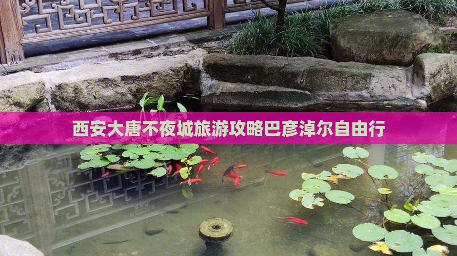 西安大唐不夜城旅游攻略巴彦淖尔自由行