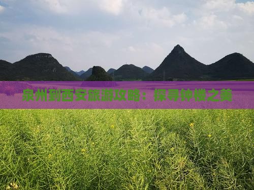 泉州到西安旅游攻略：探寻钟楼之美