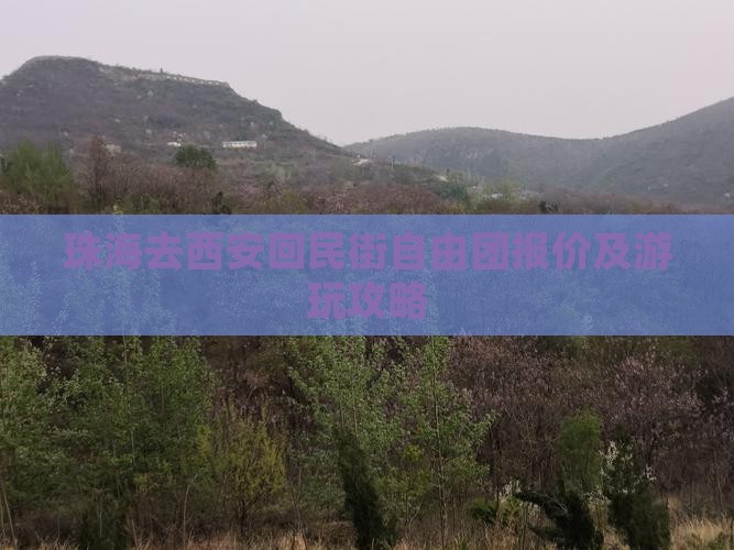珠海去西安回民街自由团报价及游玩攻略