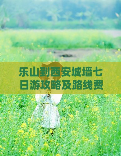 乐山到西安城墙七日游攻略及路线费用详述