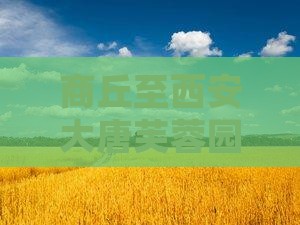 商丘至西安大唐芙蓉园旅游攻略与交通