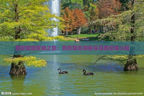 西安城墙美食之旅：克孜勒苏游客探寻西安城小髓