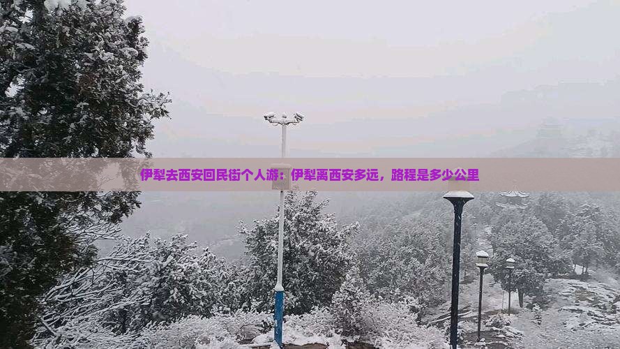 伊犁去西安回民街个人游：伊犁离西安多远，路程是多少公里