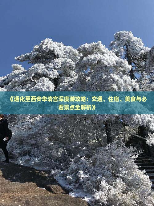 《通化至西安华清宫深度游攻略：交通、住宿、美食与必看景点全解析》