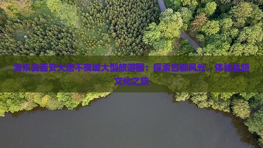 海东去西安大唐不夜城大型旅游团：探索古都风光，体验丝路文化之旅