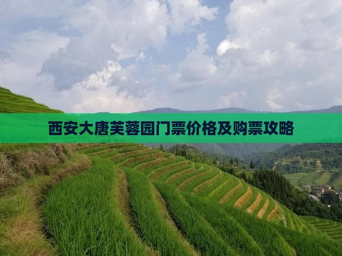 西安大唐芙蓉园门票价格及购票攻略