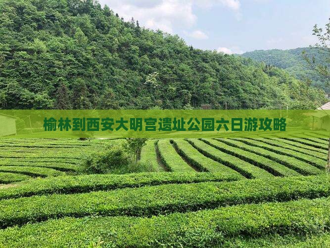 榆林到西安大明宫遗址公园六日游攻略