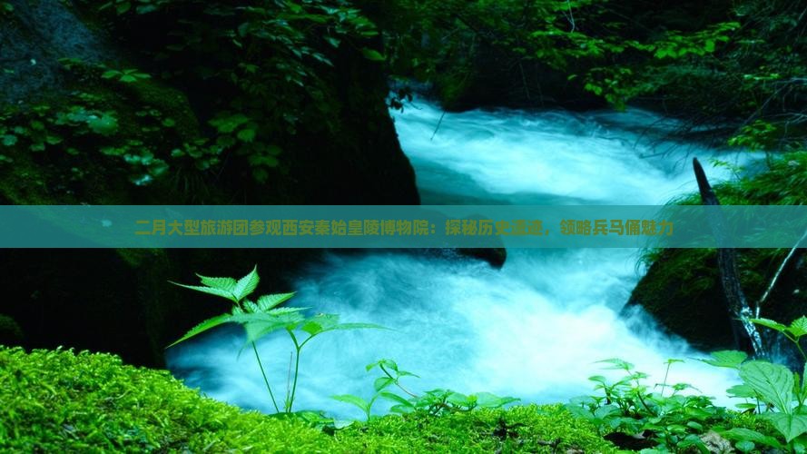 二月大型旅游团参观西安秦始皇陵博物院：探秘历史遗迹，领略兵马俑魅力