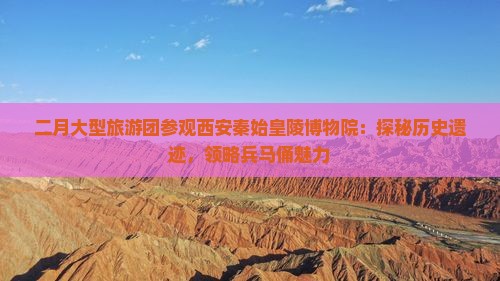 二月大型旅游团参观西安秦始皇陵博物院：探秘历史遗迹，领略兵马俑魅力