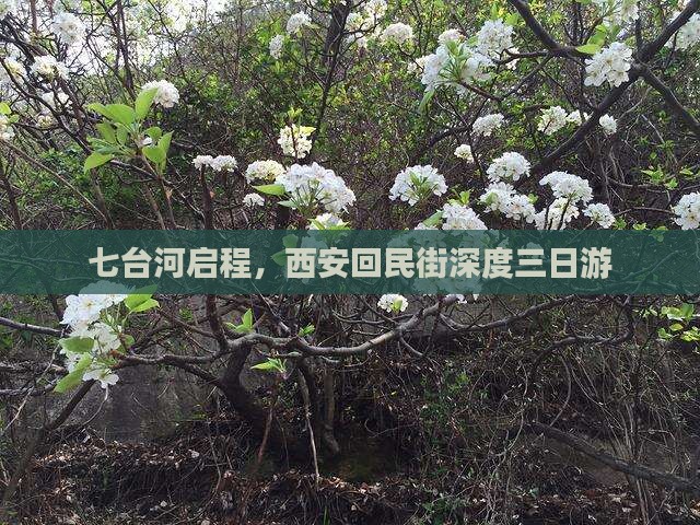 七台河启程，西安回民街深度三日游