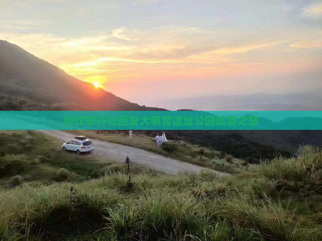 焦作旅行社西安大明宫遗址公园旅游之旅
