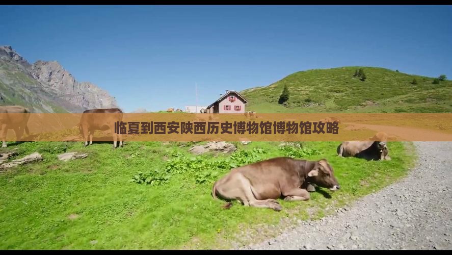 临夏到西安陕西历史博物馆博物馆攻略