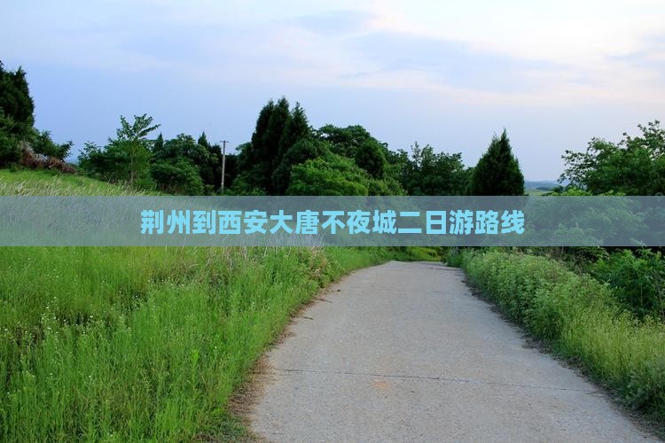 荆州到西安大唐不夜城二日游路线