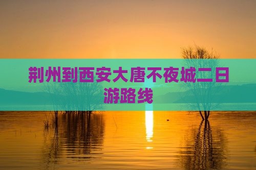 荆州到西安大唐不夜城二日游路线