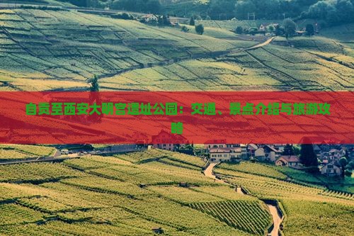 自贡至西安大明宫遗址公园：交通、景点介绍与旅游攻略